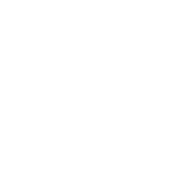 consumer centric