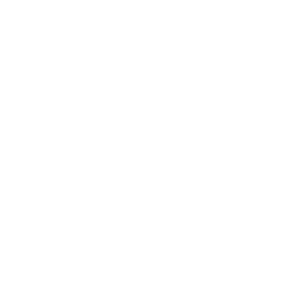 idea 1